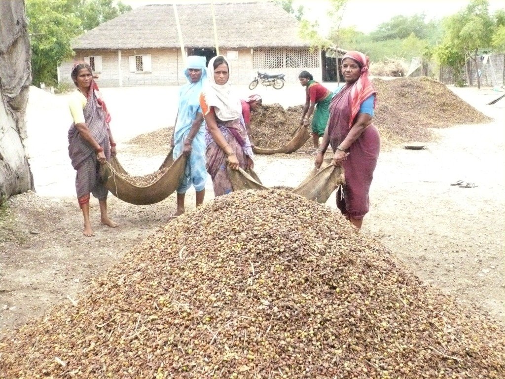 Women processing pure neem fertiliser